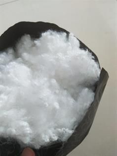 Polyester Staple Fibre