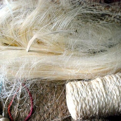 Cellulose Abaca Fibre