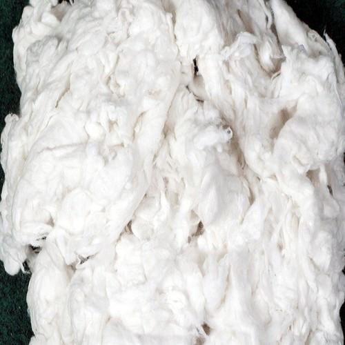 Polyester Fibre