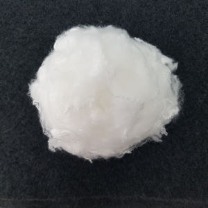 Polyester Staple Fibre