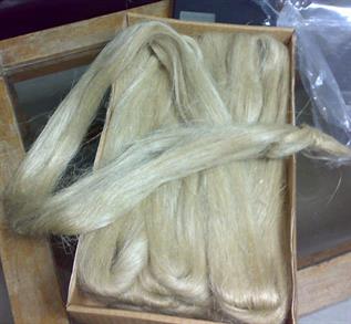 Natural Sisal Fibre