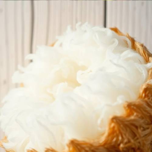 Kapok Fibre
