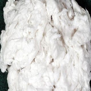 Cotton Comber Noil Fibre