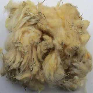 Raw Wool Fibre