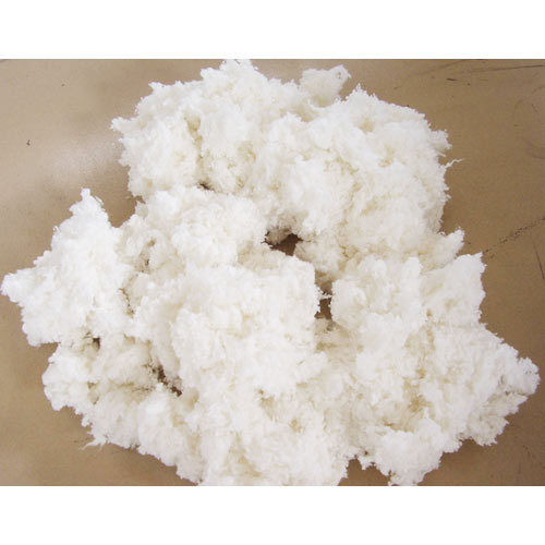 Raw Cotton Linter