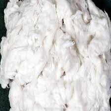 Polyester Fiber