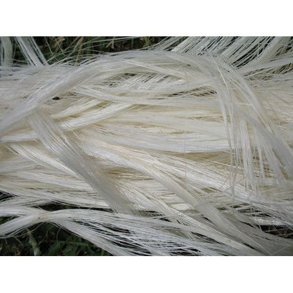 Natural Sisal Fiber