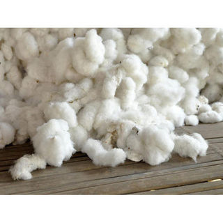 USA Raw Cotton Fibre