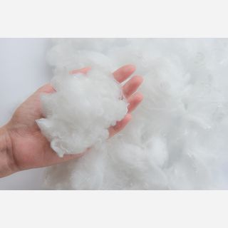 Recycle Polyester Fibre