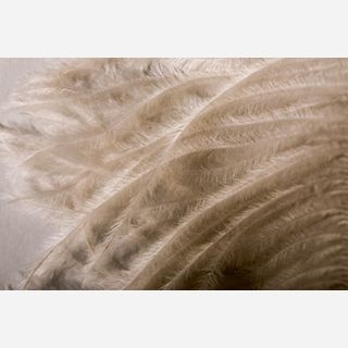 Feather Fibre