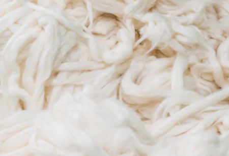 Wool Fibre