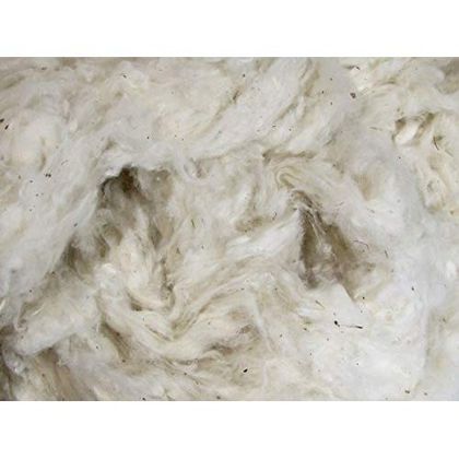 Organic Cotton Fibre