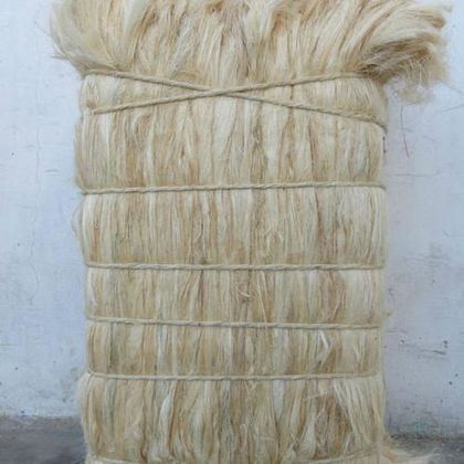 Sisal Fiber