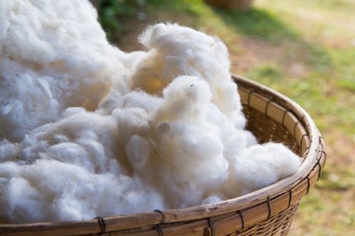 Virgin Polyester Staple Fibre