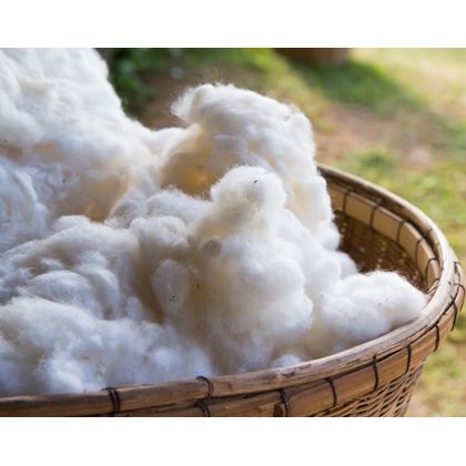 Virgin Polyester Staple Fibre