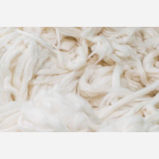 Wool Fibre