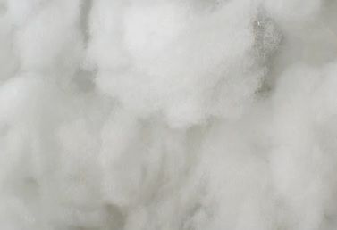 Recycled Polyester Fibre