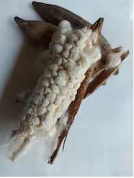 Kapok Fibre