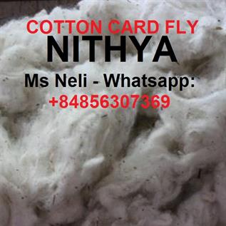 Cotton Natural Fibre