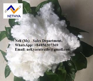 Polyester Fibre