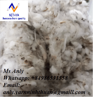 Cotton Fibre