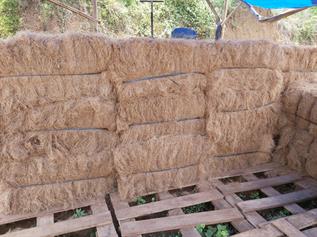 Coconut Fibre