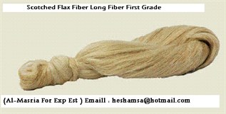 Raw Flax Fibre