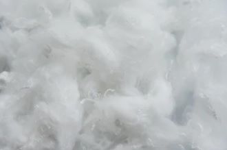 Polyester Fibre