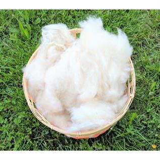 Natural Kapok Fibre