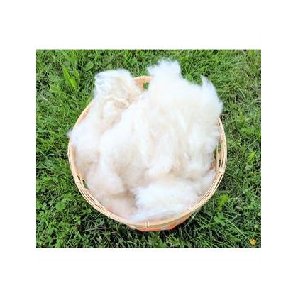 Natural Kapok Fibre