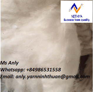 Natural Cotton Fibre