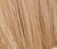 Sisal Fibre