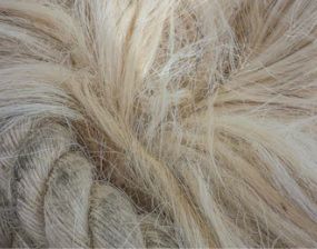 Sisal Fibre