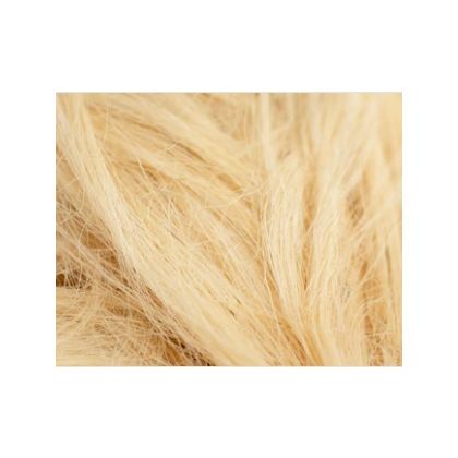 Sisal Fibre