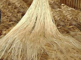 Raw White Jute Fibre