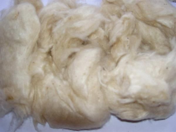 Kapok Fibre