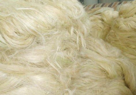 Sisal Fibre