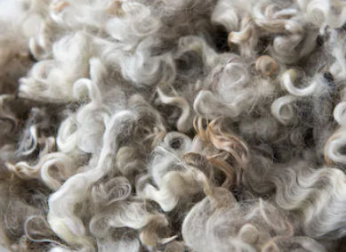 Nylon 6 Tops Fibre