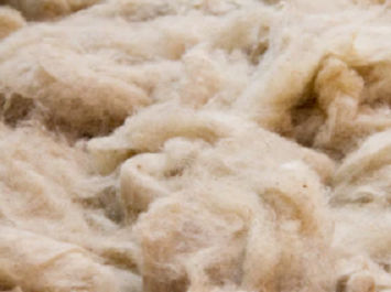 Wool Fibre