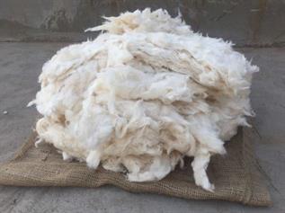 Cotton Comber Noil