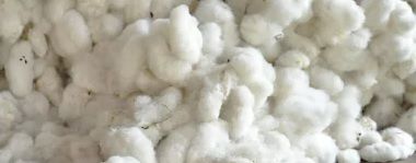 Raw Cotton