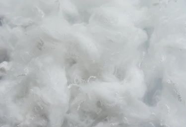 Polyester Fibre