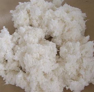 Cotton Linter