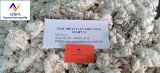 Natural Fibre