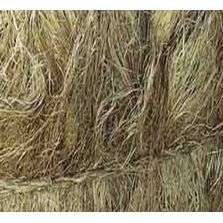 Hemp Fibre