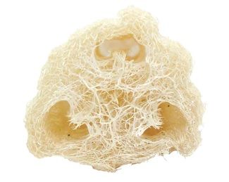 Luffa Fibre