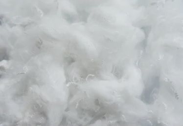 Polyester Fibre