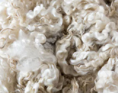 Greasy Wool Fibre