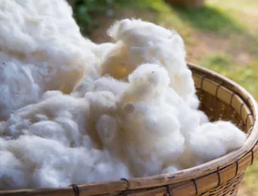 Possum Wool Fibre