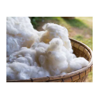 Possum Wool Fibre